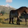 Planet Zoo Premium Edition 2023 EU Steam CD Key Planet Zoo Premium Edition 2023 EU Steam CD Key