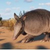 Planet Zoo Premium Edition 2023 EU Steam CD Key Planet Zoo Premium Edition 2023 EU Steam CD Key