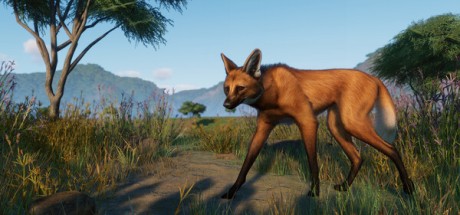 Planet Zoo Premium Edition 2023 EU Steam CD Key Planet Zoo Premium Edition 2023 EU Steam CD Key