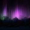 The Long Dark: Survival Edition RoW Steam CD Key
