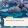 Coral Island LATAM Steam CD Key