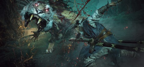 Wo Long: Fallen Dynasty AR XBOX One / Xbox Series X|S CD Key Wo Long: Fallen Dynasty AR XBOX One / Xbox Series X|S CD Key