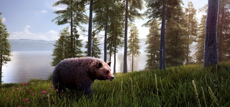 Hunting Simulator 2 - Bear Hunter Pack DLC Steam CD Key Hunting Simulator 2 - Bear Hunter Pack DLC Steam CD Key