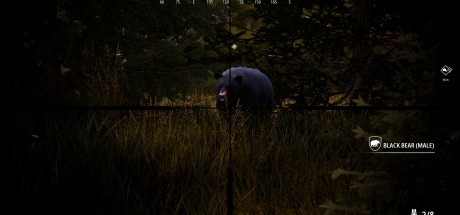 Hunting Simulator 2 - Bear Hunter Pack DLC Steam CD Key Hunting Simulator 2 - Bear Hunter Pack DLC Steam CD Key