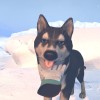 House Builder VR Steam CD Key