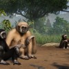 Planet Zoo: Tropical Pack DLC EU Steam CD Key