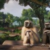 Planet Zoo: Tropical Pack DLC EU Steam CD Key