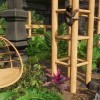 Planet Zoo: Tropical Pack DLC EU Steam CD Key
