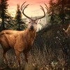 Grand Theft Auto V: Premium Online Edition & Megalodon Shark Card Bundle EU Rockstar Digital Download CD Key