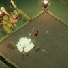 Death's Door EU Steam CD Key