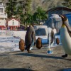Planet Zoo - Aquatic Pack DLC EU Steam CD Key