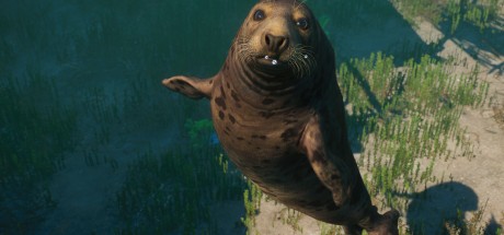 Planet Zoo - Aquatic Pack DLC EU Steam CD Key Planet Zoo - Aquatic Pack DLC EU Steam CD Key