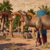 Planet Zoo - Arid Animal Pack DLC EU Steam CD Key