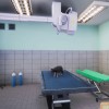 Animal Shelter - Vet Clinic DLC PC Steam CD Key