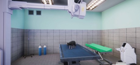 Animal Shelter - Vet Clinic DLC PC Steam CD Key Animal Shelter - Vet Clinic DLC PC Steam CD Key