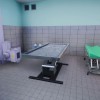 Animal Shelter - Vet Clinic DLC PC Steam CD Key