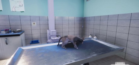 Animal Shelter - Vet Clinic DLC PC Steam CD Key Animal Shelter - Vet Clinic DLC PC Steam CD Key