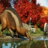 Jurassic World Evolution 2 - Feathered Species Pack DLC EU Steam CD Key