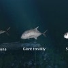 Ultimate Fishing Simulator - New Fish Species DLC EU Steam CD Key