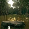 Ultimate Fishing Simulator - Amazon River DLC EU Steam CD Key