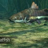 Ultimate Fishing Simulator - Amazon River DLC EU Steam CD Key