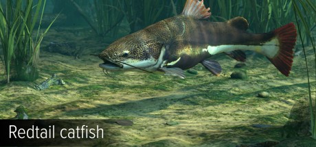 Ultimate Fishing Simulator - Amazon River DLC EU Steam CD Key Ultimate Fishing Simulator - Amazon River DLC EU Steam CD Key
