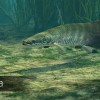 Ultimate Fishing Simulator - Amazon River DLC EU Steam CD Key
