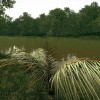 Ultimate Fishing Simulator - Amazon River DLC EU Steam CD Key
