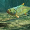 Ultimate Fishing Simulator - Amazon River DLC EU Steam CD Key