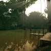 Ultimate Fishing Simulator - Amazon River DLC EU Steam CD Key