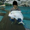 Ultimate Fishing Simulator 2 EU Steam CD Key