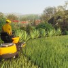 Lawn Mowing Simulator - Ancient Britain DLC EU Steam CD Key