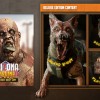 Arizona Sunshine 2 Deluxe Edition Steam CD Key