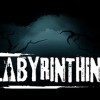 Labyrinthine EU Steam CD Key