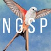 Wingspan + European Expansion + Oceania Expansion + Seasonal Decorative Pack AR XBOX One / Xbox Series X|S CD Key