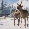 Planet Zoo - Eurasia Animal Pack DLC Steam CD Key