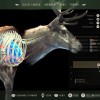 Way of the Hunter EU Steam CD Key