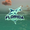 Ultimate Fishing Simulator - Florida DLC Steam CD Key
