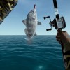Ultimate Fishing Simulator - Florida DLC Steam CD Key