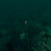 Ultimate Fishing Simulator - Florida DLC Steam CD Key