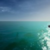 Ultimate Fishing Simulator - Florida DLC Steam CD Key