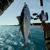 Ultimate Fishing Simulator - Florida DLC Steam CD Key