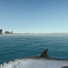 Ultimate Fishing Simulator - Florida DLC Steam CD Key