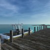 Ultimate Fishing Simulator - Florida DLC Steam CD Key