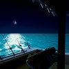 Ultimate Fishing Simulator - Florida DLC Steam CD Key