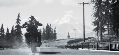 Days Gone FR Steam CD Key Days Gone FR Steam CD Key