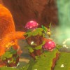 Bayala EU Nintendo Switch CD Key