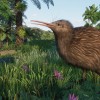 Planet Zoo - Oceania Pack DLC EU Steam CD Key