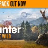 theHunter: Call of the Wild LATAM Steam CD Key
