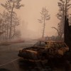 Pacific Drive Deluxe Edition Steam CD Key